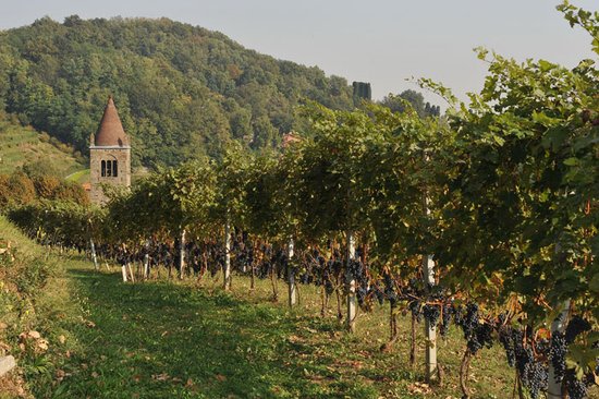 Azienda Agricola Sant'Egidio