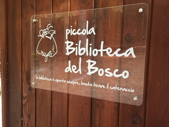 Riserva Naturale Boschi del Giovetto di Palline