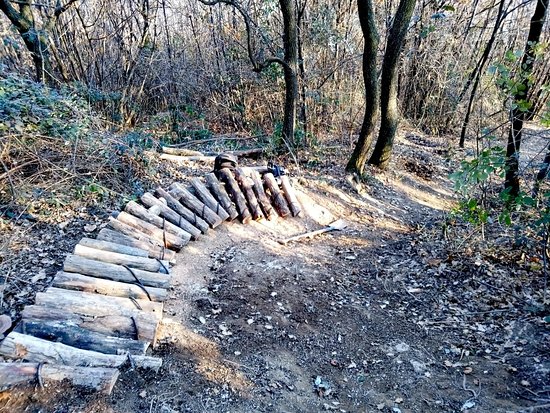 Orio Gravity Park