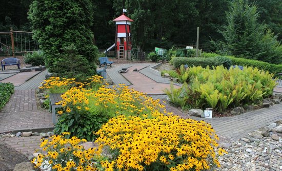 Minigolf Unter Palmen