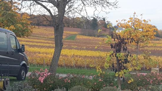 Weingut Stefan & Nicole Hitziger
