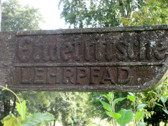 Elwetritscheweg Dahn
