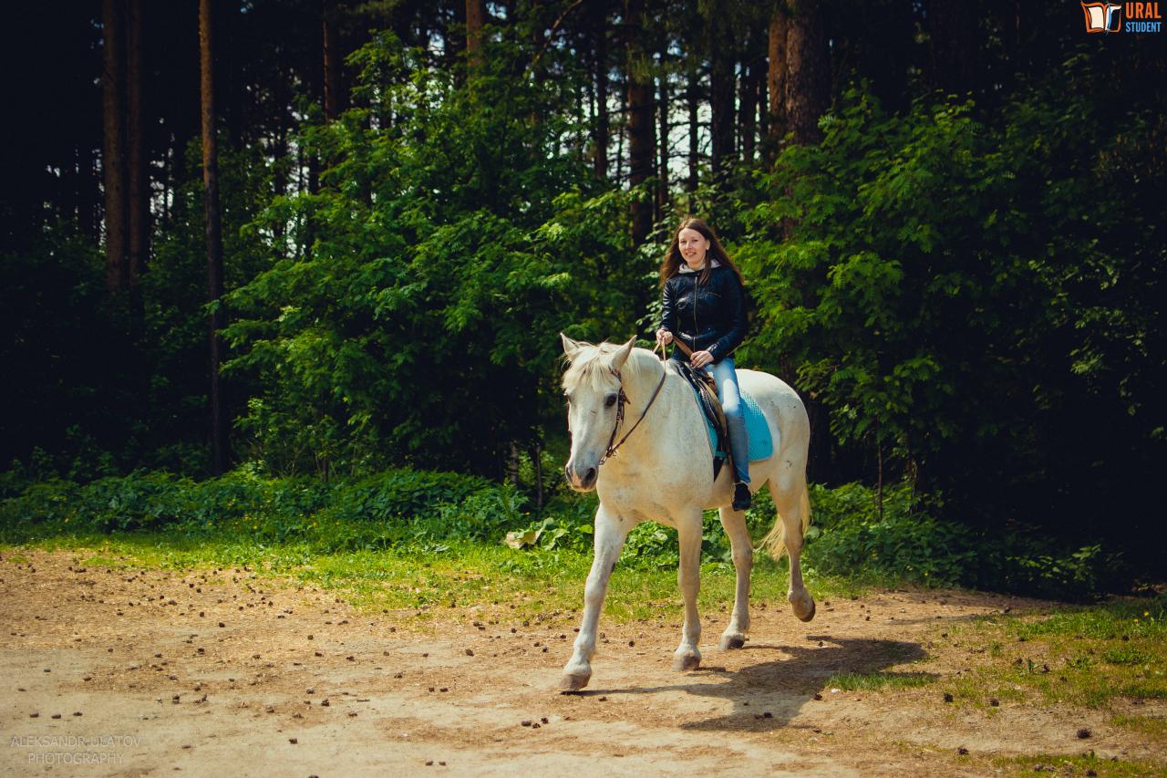 Конный клуб Единорог