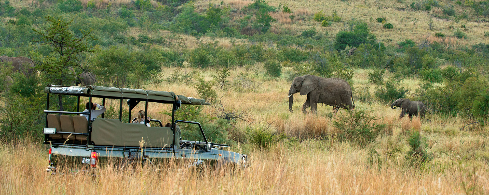 Safari Lodge Shuttle - Day Tours