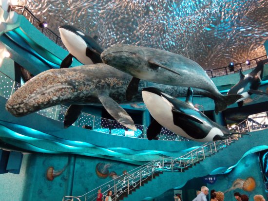 Oceanarium Akvamir
