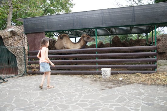 Park Rodnik Zoo