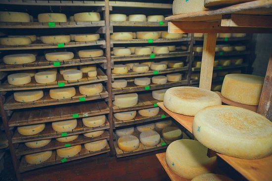 Tilsit Ragnit Cheese Factory