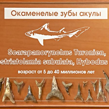Museum of Dental Miniatures