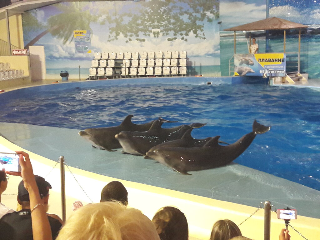 Anapa Dolphinarium (Nemo)