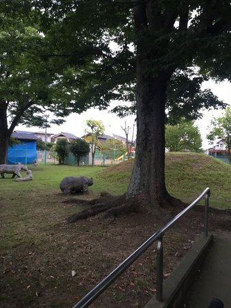 Kamioinezuka Park 3