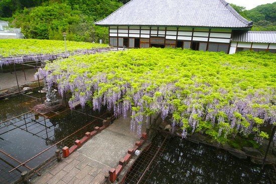 Tyosenji Temple, Honjo