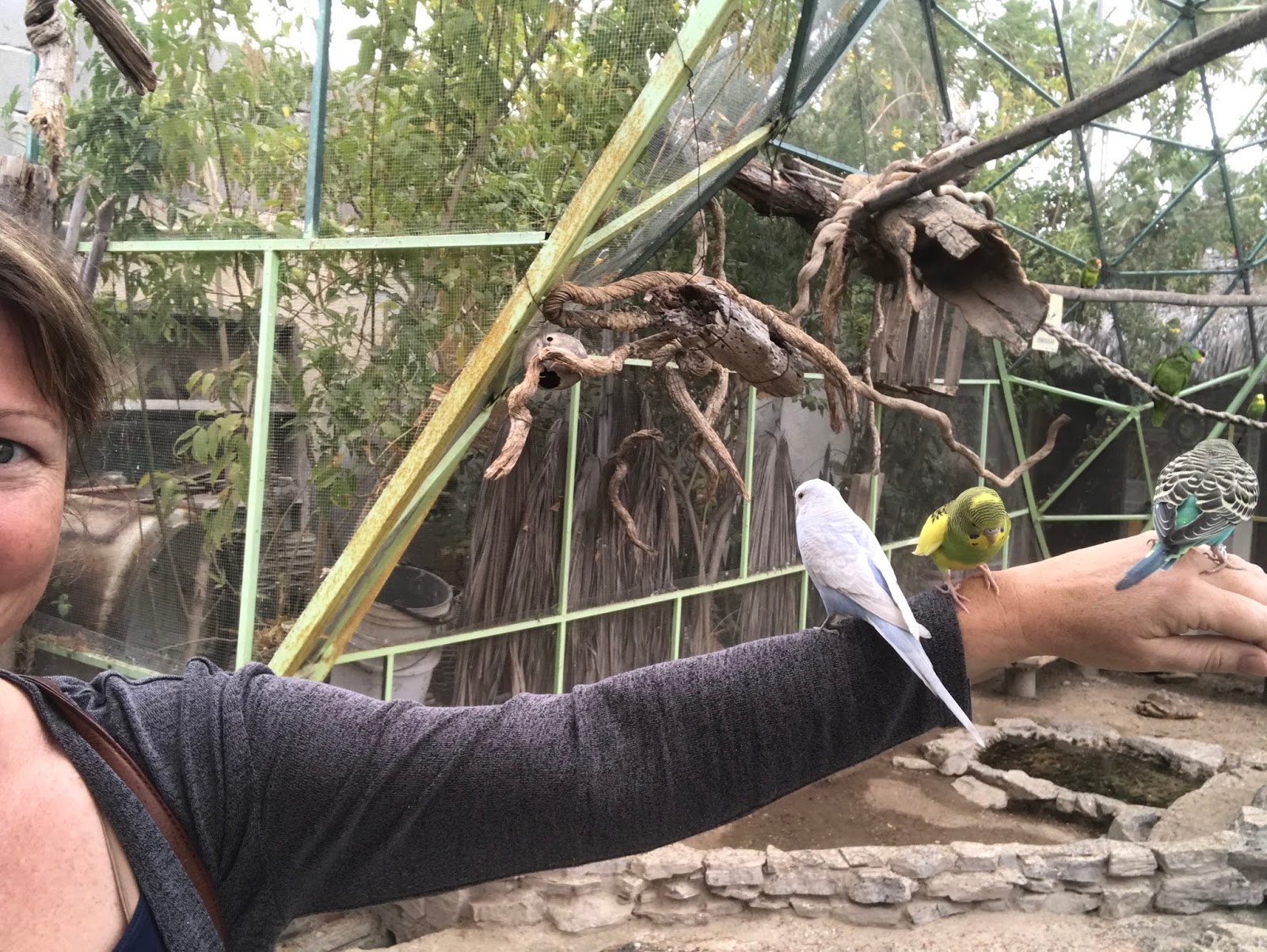 El Serpentario De La Paz