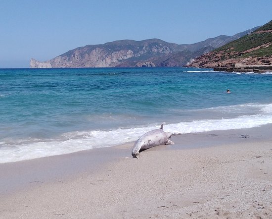 Spiaggia di Fontanamare