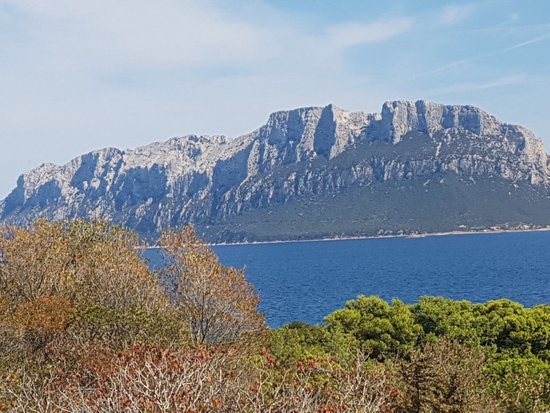 Spiaggia del Dottore