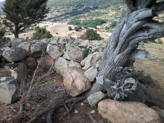 Il Santuario di S'arcu es Forros