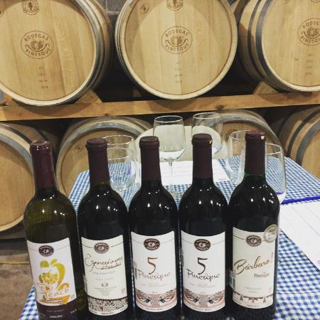 Bodegas Pinesque