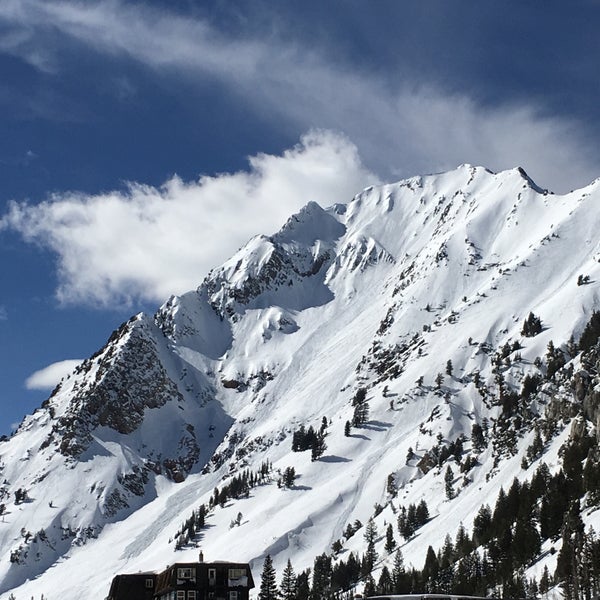 BorealisAlta