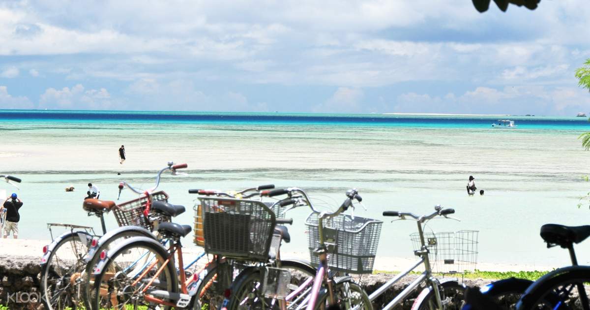 Island Bicycle Rental