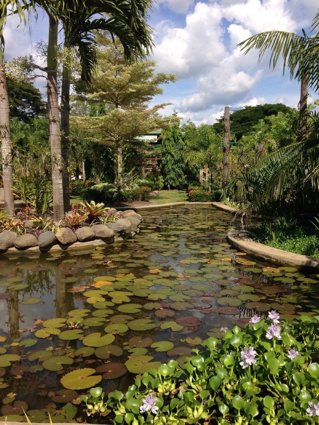 National Orchid Garden