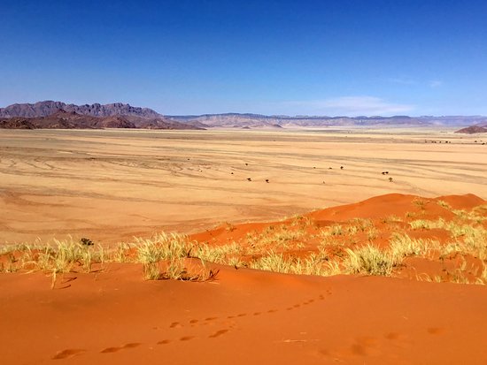 Elim Dunes