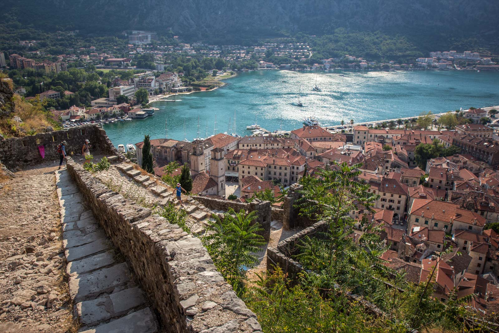 Montenegro Transfer