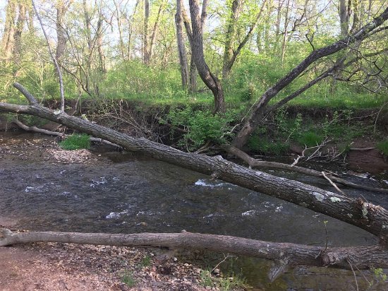 Ballenger Creek Linear Trail