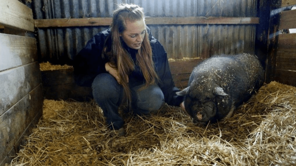 Erin's Farm