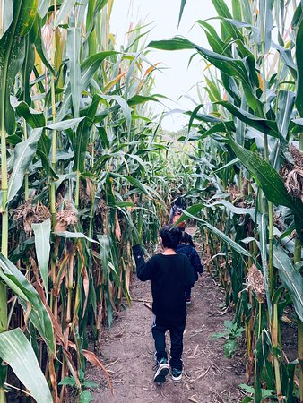 Crescent Farms