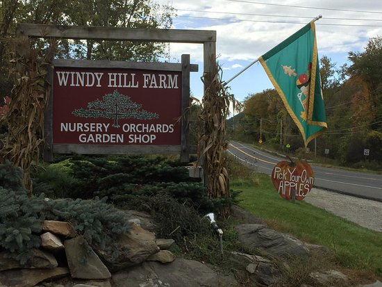 Windy Hill Farm