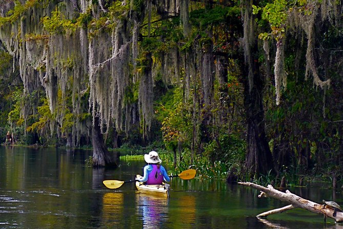 Lower Wekiva River State Preserve