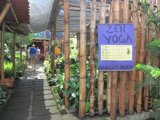 Zen Yoga