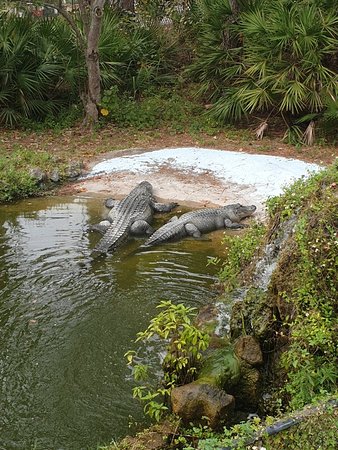 Calusa Nature Center and Planetarium