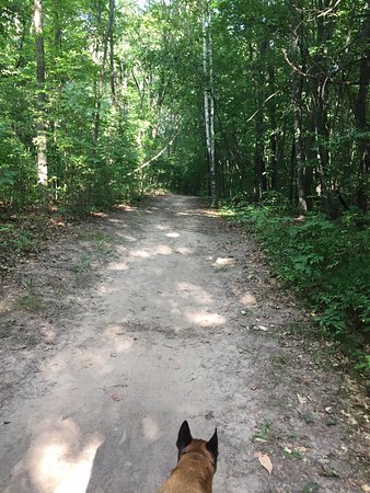 Bald Mountain State Recreation Area