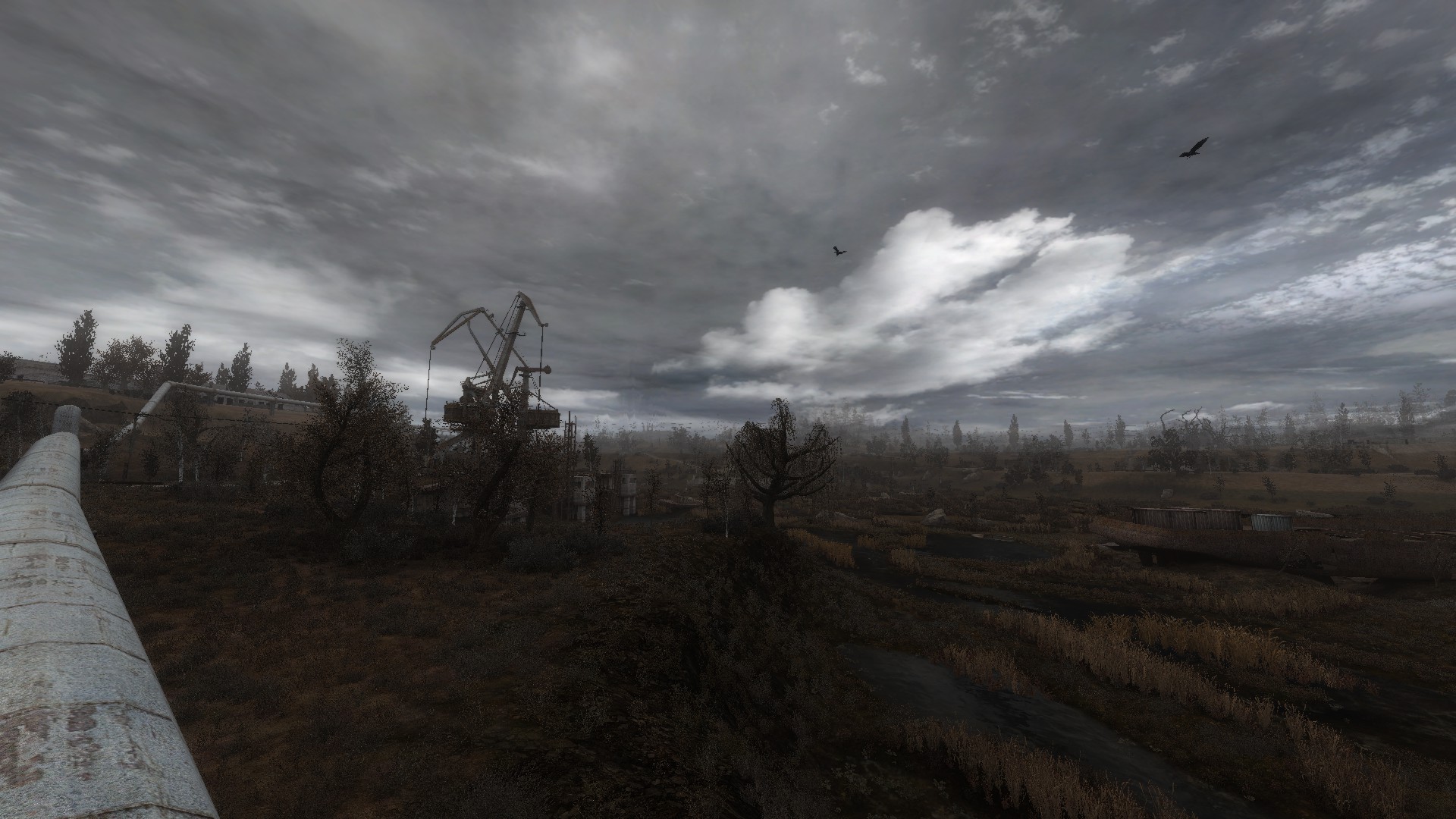 Mount Misery