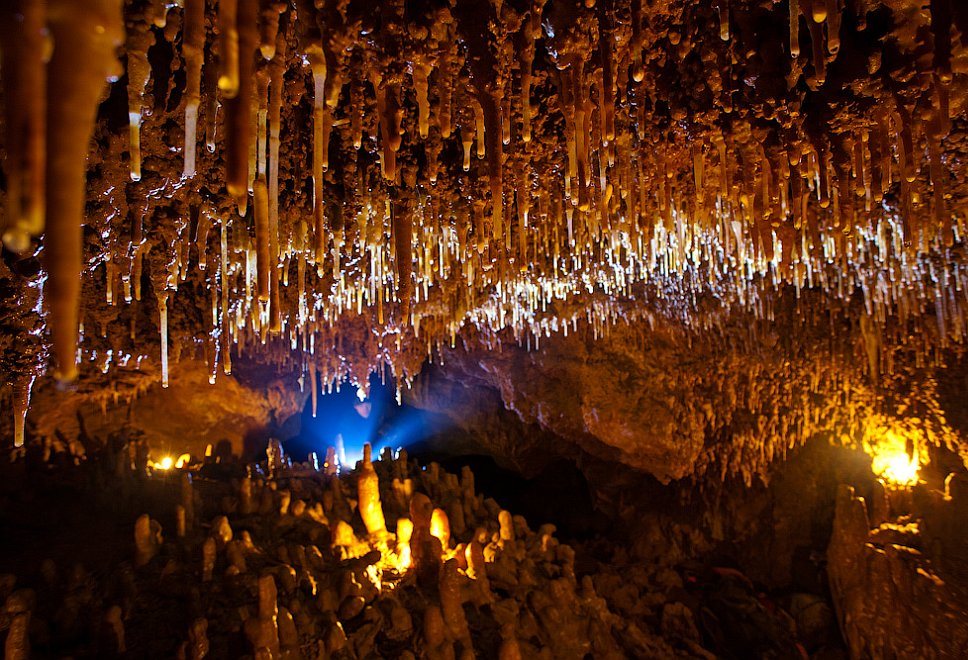 Le Verre en Cave