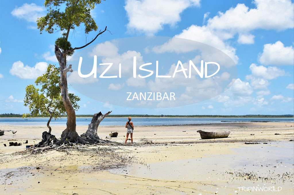 Uzi Island