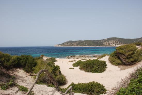 Playa de Ses Salines