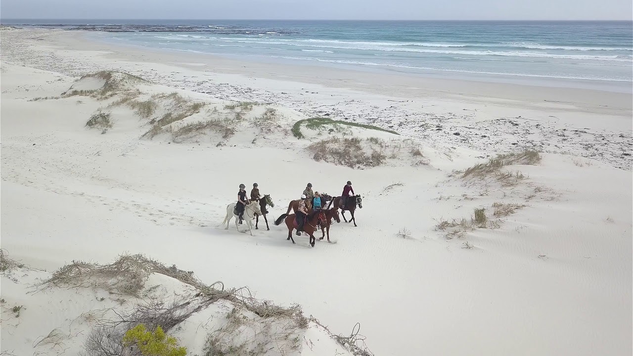 Gansbaai & Pearly Beach Horse Trails