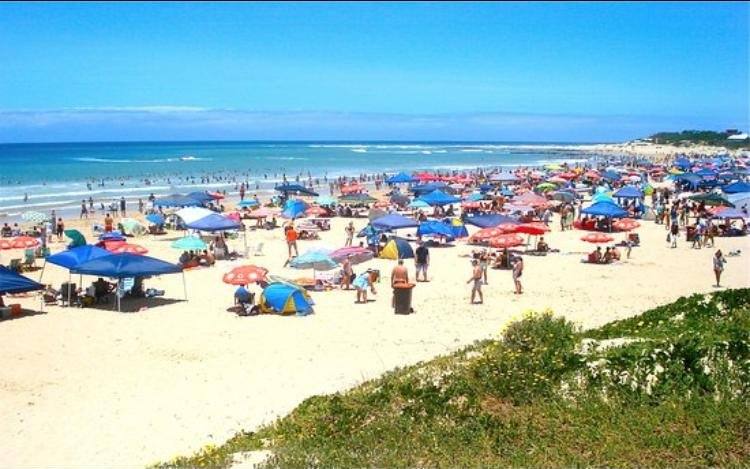 Dolphin Beach