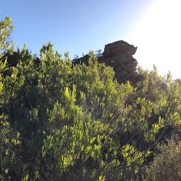 Cederberg Wilderness Area