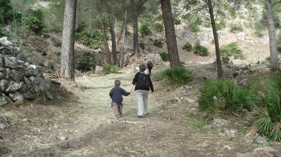 CR10 Es Galatzo - Ses Sinies Trail