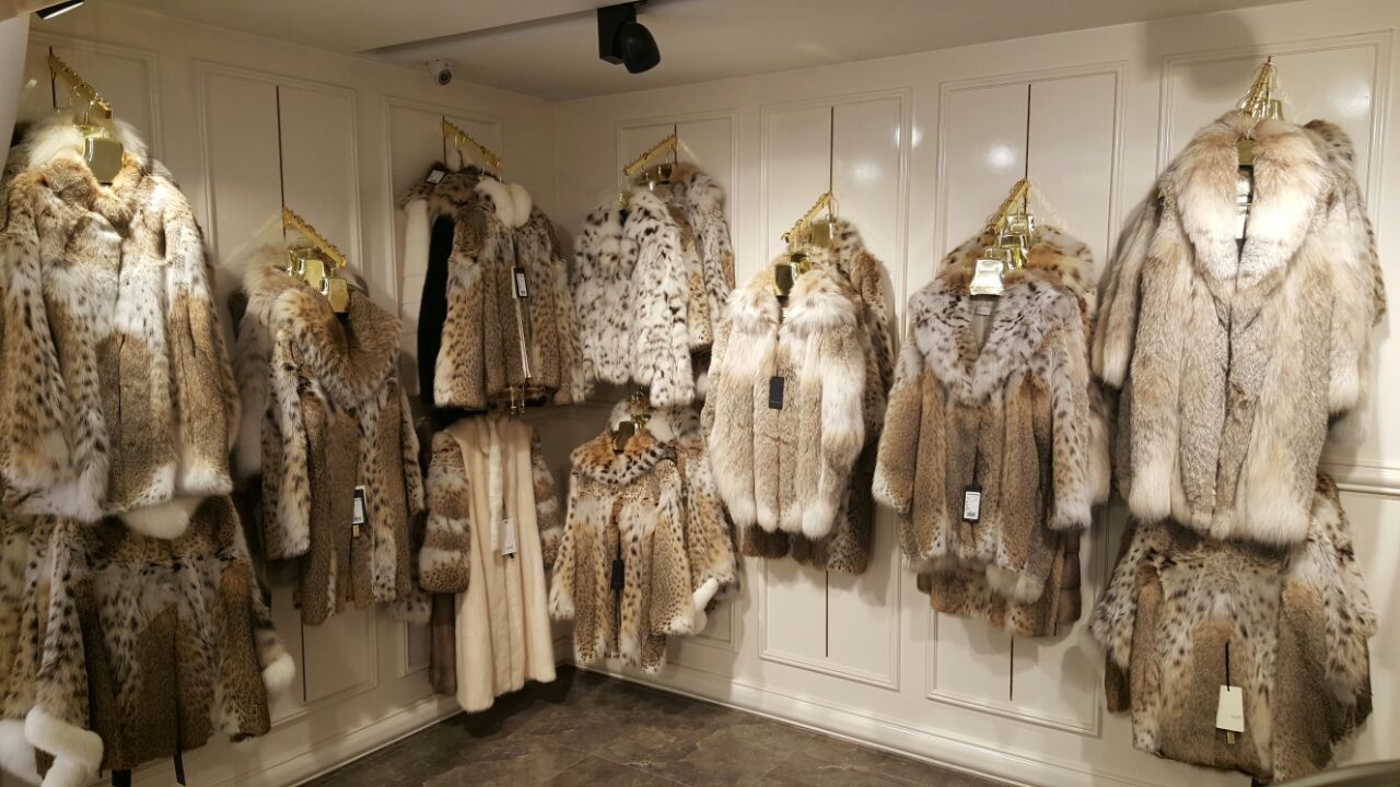 Levinson Fur & Leather