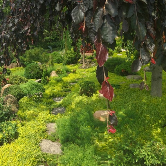 Schnormeier Gardens