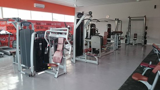 The World Of Gym 4
