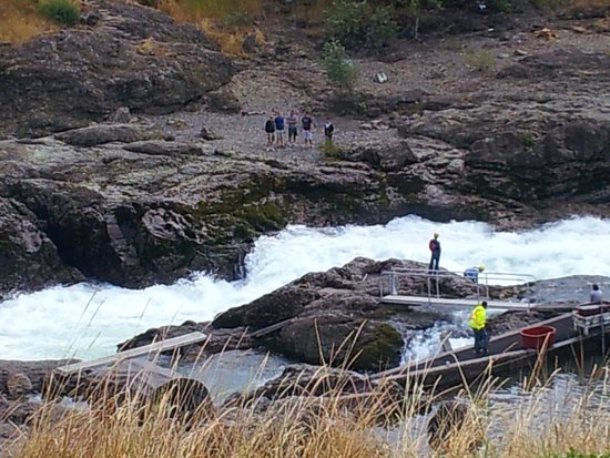 Moricetown Canyon