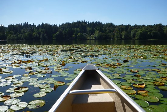 Deer Lake Boat Rentals