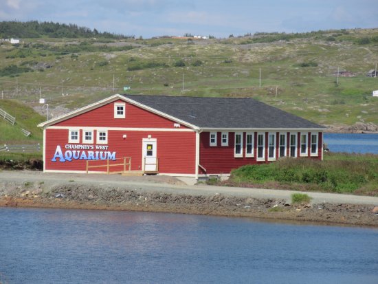 Champney's West Aquarium
