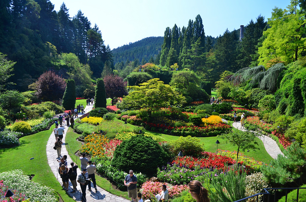 Baiyun Mountain Botanical Garden