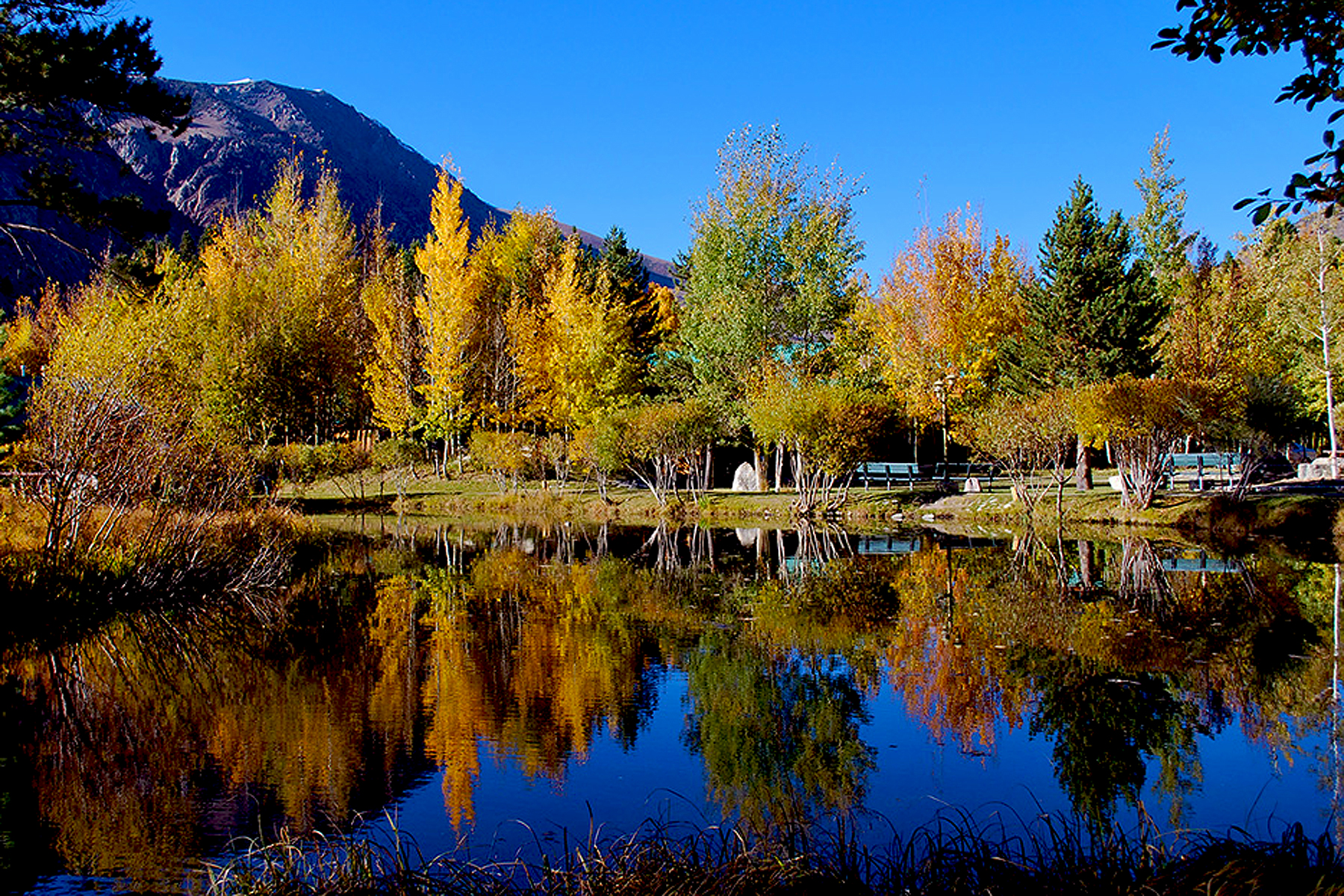 Double Brook Lake Scenic Resort