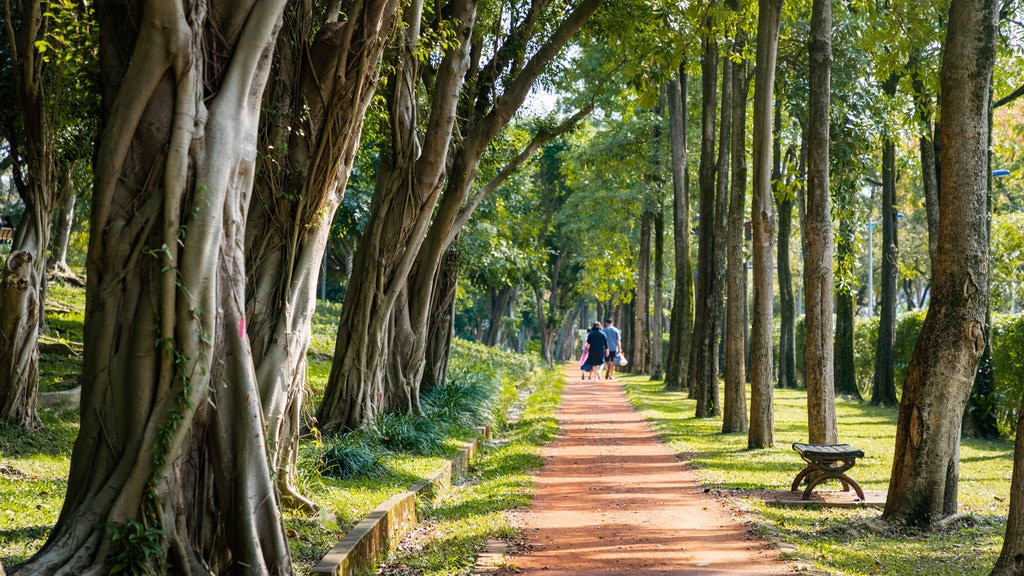 Yan'an Forest Park
